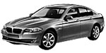 BMW F10 P191F Fault Code